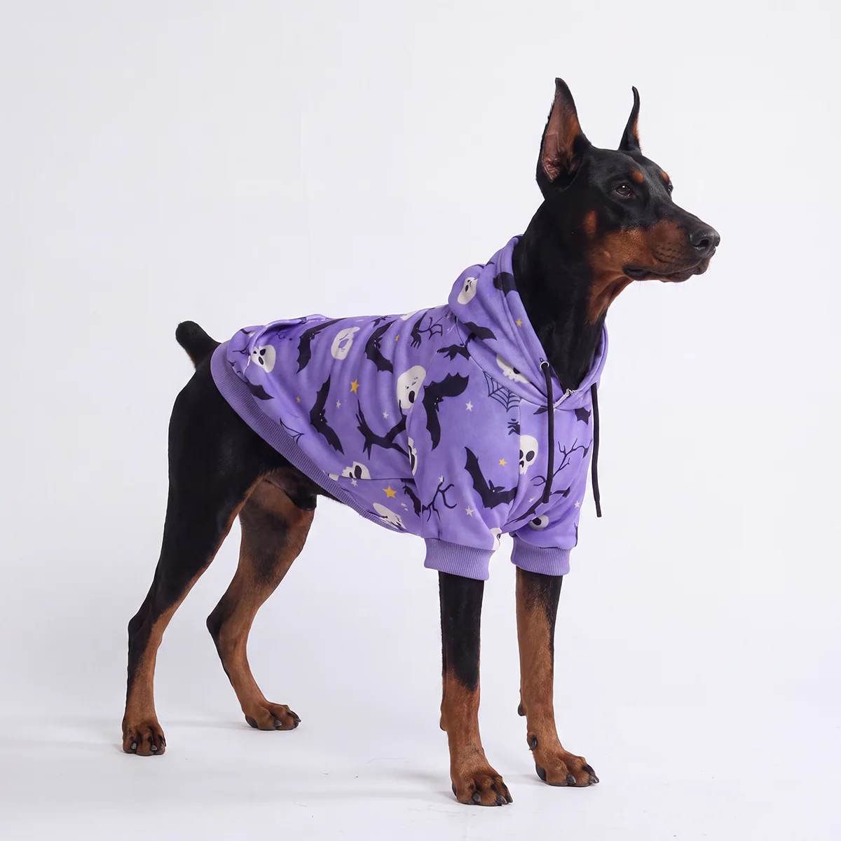 SpookyTwins™ Halloween Hoodie voor Baas & Hond