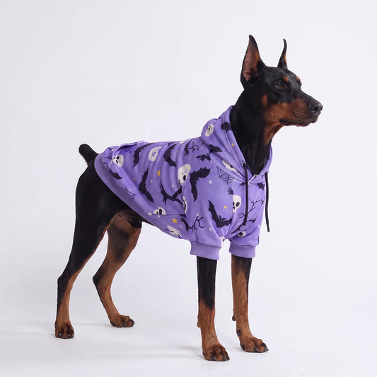 SpookyTwins™ Halloween Hoodie voor Baas & Hond