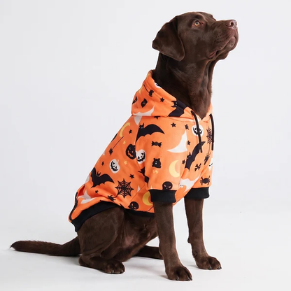 SpookyTwins™ Halloween Hoodie voor Baas & Hond